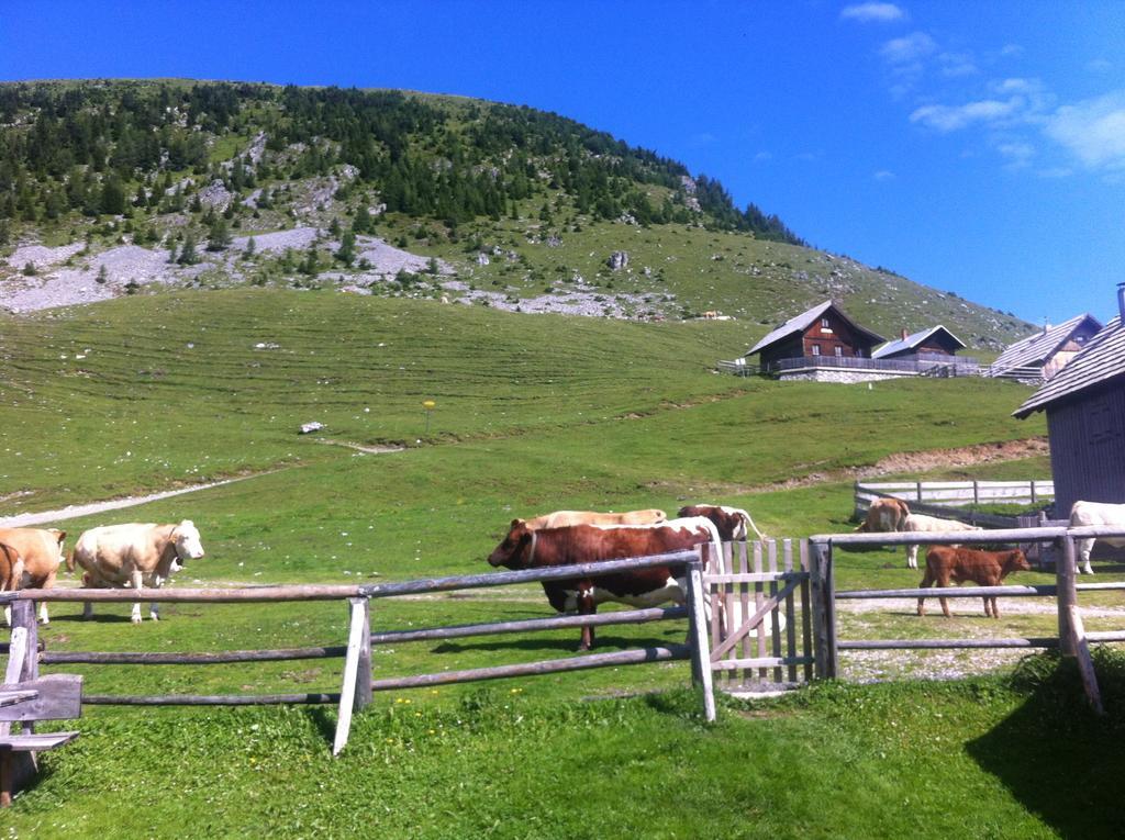 Alte Post Otel Feistritz an der Gail Dış mekan fotoğraf